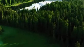 易于理解的情况我们用这种思考模式用得太过......《深度创新方法》摘录